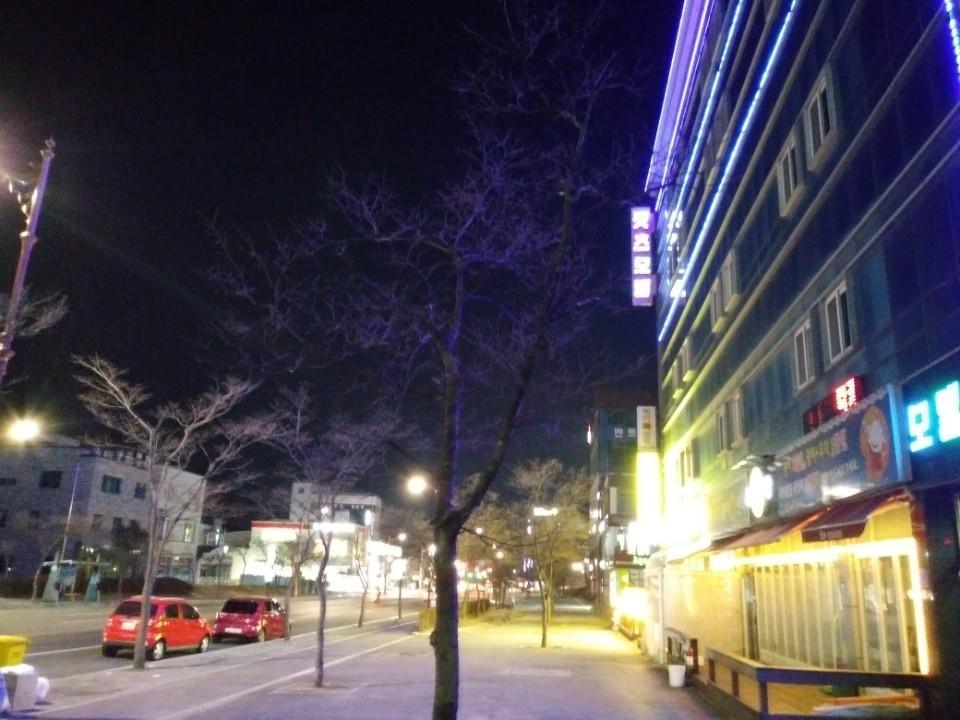 Cats Motel Gangneung Extérieur photo